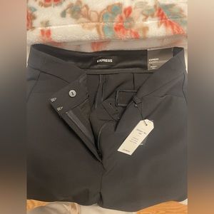 Express Super Soft Twill Pant